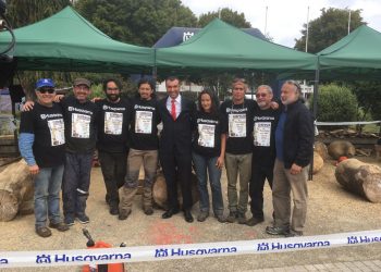 En Castro se desarrolla el primer Simposio nacional de escultura