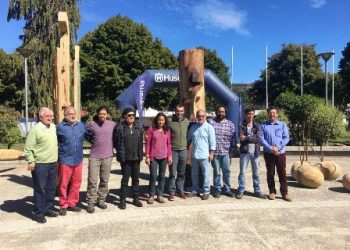 Con éxito se desarrolló el primer Simposio Nacional de Esculturas en Castro