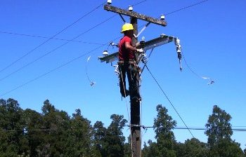 Municipalidad se hará parte en recurso de protección