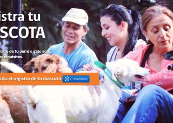 Campaña de inscripción de mascotas de compañía en Castro