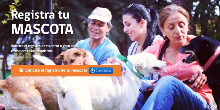 Campaña de inscripción de mascotas de compañía en Castro