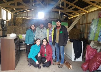 Castro Municipio apoya a vecino de la comuna que vive en extrema pobreza