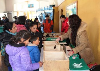 Castro Municipio pretende crear líderes medioambientales