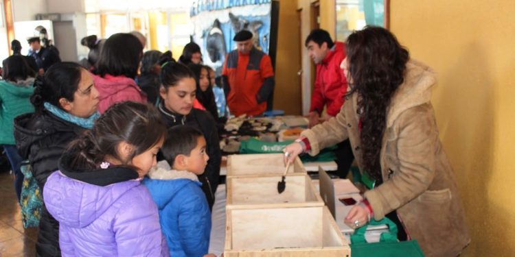 Castro Municipio pretende crear líderes medioambientales