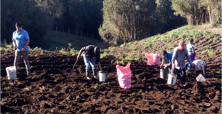 Más de 22 millones de pesos del Fondo de Desarrollo Regional serán  entregados a agricultores de la comuna de Castro