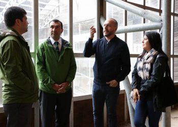 Cecrea Castro y alcalde Juan Eduardo Vera invitan a artistas, docentes, creadores y jóvenes a capturar y domesticar la energía