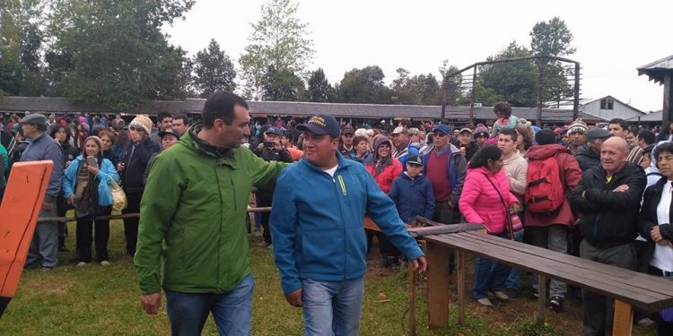 Los imperdibles panoramas para este invierno en Castro