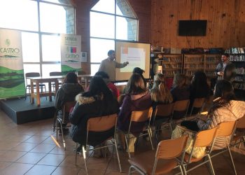 Senda realiza capacitación en prevención de alcohol y drogas a trabajadores de la provincia de Chiloé