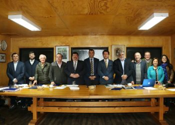 Por unanimidad en Castro se aprobó ley de plantas municipales