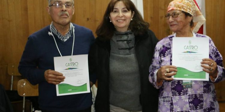 En Castro se realizó II Encuentro Comunal de Cueca del Adulto Mayor