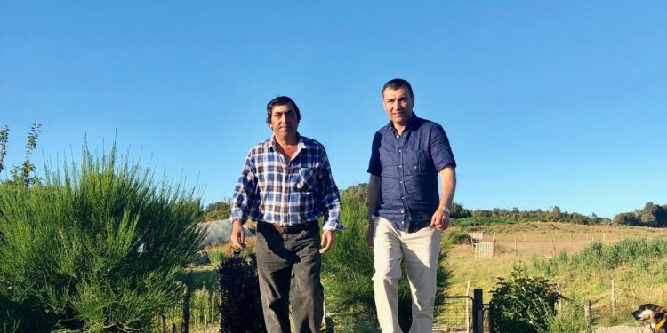 Alcalde Vera anunció inicios de trabajos para APR de Ducán