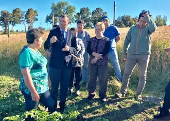 Castro Municipio apoya a productores de papa de la  comuna