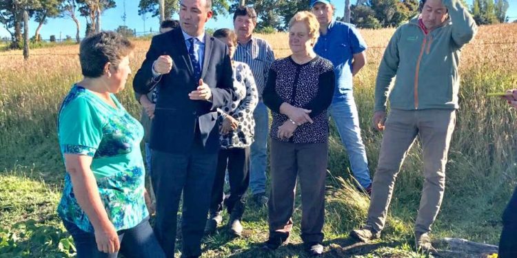 Castro Municipio apoya a productores de papa de la comuna