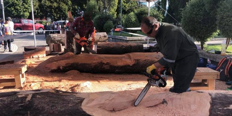 En Castro se realiza el II Simposio de Esculturas