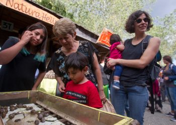 Castro se prepara para conmemorar el Día Internacional de la Mujer