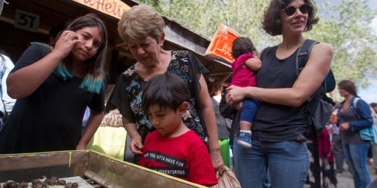 Castro se prepara para conmemorar el Día Internacional de la Mujer