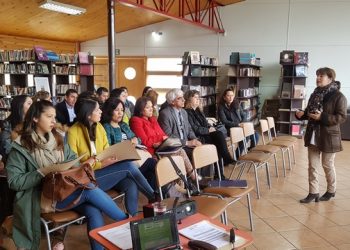 Comunidad educativa de la comuna de Castro es capacitada en prevención de consumo de drogas y alcohol