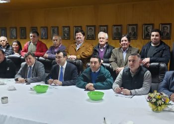 La unidad y el desarrollo de Chiloé los lemas de Amsur