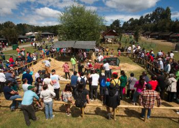 Buscan profesionalizar la oferta turística en la comuna de Castro