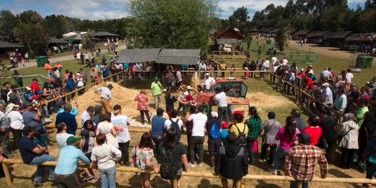 Buscan profesionalizar la oferta turística en la comuna de Castro