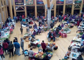 Continúan actividades del programa municipal Cultura en los barrios en Castro