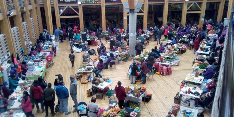 Continúan actividades del programa municipal Cultura en los barrios en Castro
