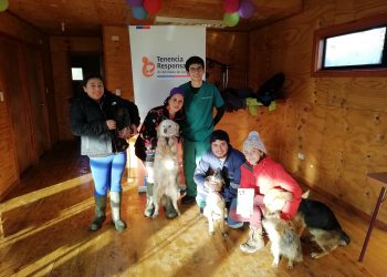Más de mil atenciones veterinarias fueron gestionadas de manera gratuita en Castro gracias a Plan Mascota Protegida 2018