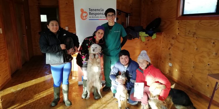 Más de mil atenciones veterinarias fueron gestionadas de manera gratuita en Castro gracias a Plan Mascota Protegida 2018