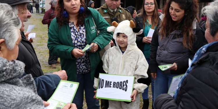 Buscan prevenir el abigeato en Castro