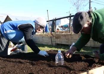 Huertos urbanos para adultos mayores: la nueva apuesta del municipio por un Castro más sustentable
