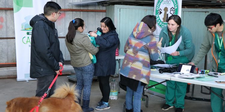 Invitan a vecinos de Castro a llevar a sus perritos a operativo gratuito