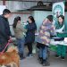 Invitan a vecinos de Castro a llevar a sus perritos a operativo gratuito