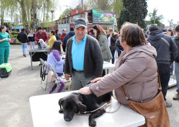 Castro, definitivamente, construirá una clínica veterinaria que atenderá gratuitamente a los vecinos.