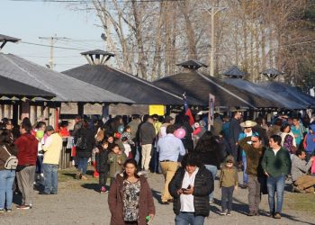 Castro Municipio inicia proceso de postulación para la XIX Fiesta de la Biodiversidad y la 41° versión del Festival Costumbrista Chilote 2020