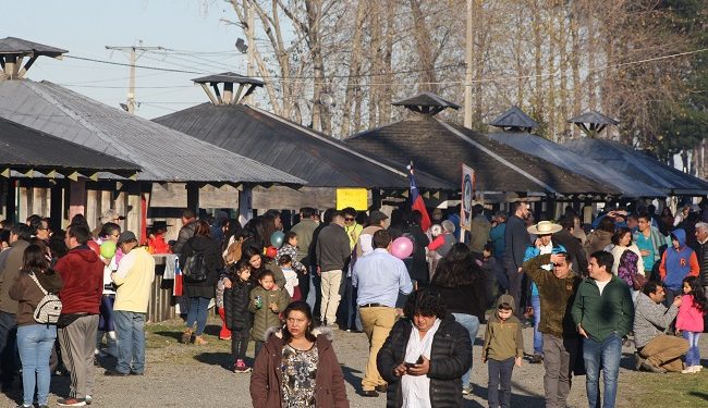 Castro Municipio inicia proceso de postulación para la XIX Fiesta de la Biodiversidad y la 41° versión del Festival Costumbrista Chilote 2020