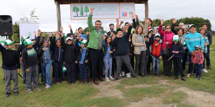 Primer Bosque Experimental en Castro abre sus puertas a la comunidad