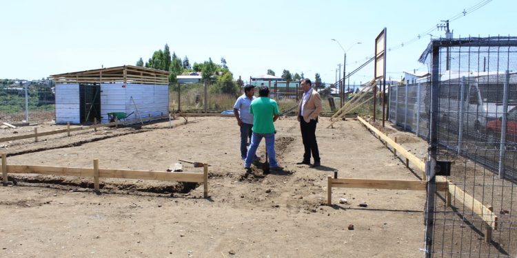 Castro avanza decididamente a la inclusión