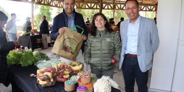 Expo Mundo Rural Los Lagos reunirá a más de 200 expositores de todo el país en la ciudad de Castro