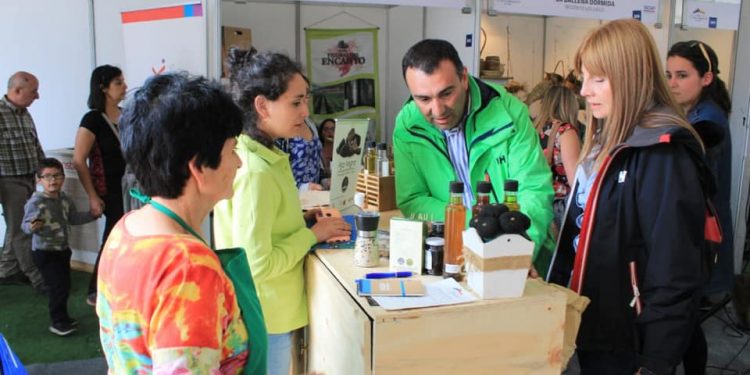 Exitosa ExpoMundo Rural en Castro y el municipio va por una nueva versión