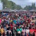 Feria de la biodiversidad y Festival Costumbrista Chilote convocaron a más de 85 mil personas durante los últimos 5 días en el Parque Municipal de Castro.