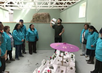 Convenio entre Castro Municipio y MAM busca acercar el arte contemporáneo a los vecinos castreños