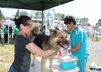 En septiembre podría inaugurarse la Clínica Veterinaria Municipal
