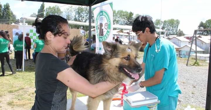 En septiembre podría inaugurarse la Clínica Veterinaria Municipal
