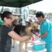 En septiembre podría inaugurarse la Clínica Veterinaria Municipal