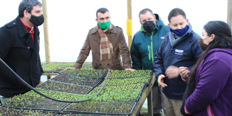 Piden a Minagri seguir fortaleciendo y reforzando a la pequeña agricultura campesina de Castro