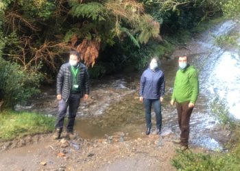 Saesa estaría generando nuevo conflicto que podría provocar serios daños al ecosistema