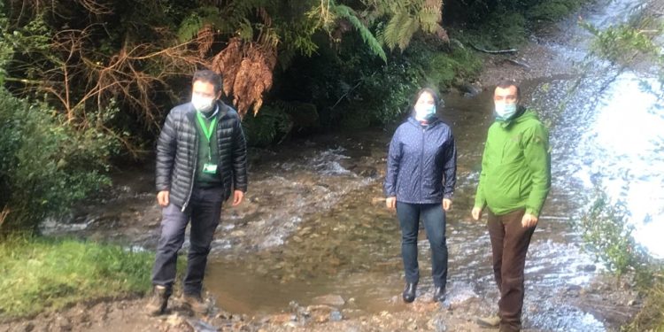 Saesa estaría generando nuevo conflicto que podría provocar serios daños al ecosistema