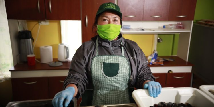 Municipio recorrerá barrios de Castro con festival de sopas, caldillos y cazuelas