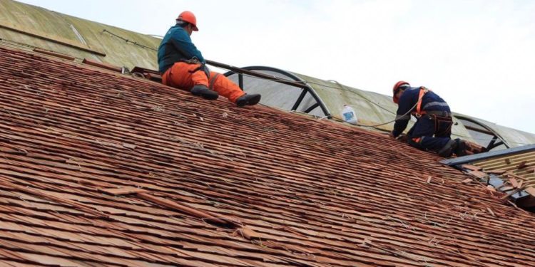 Las tradicionales tejuelas de alerce hermosearán feria Lillo