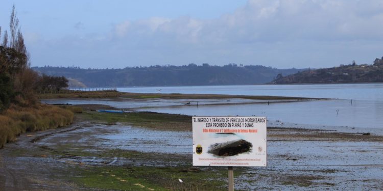 En Castro se respetan y preservan los humedales